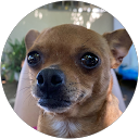 Briceyda Garcia profile picture
